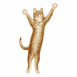 Party Cat Holiday Ornament Photo Cut Out