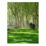 Paseo del Prado Postcard