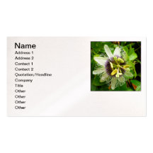 Passiflora Business Card