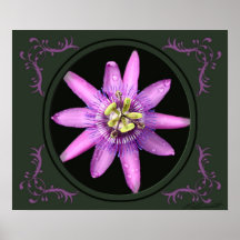 Passion Flower Art Print