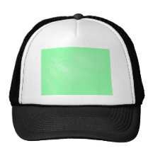 Pastel Aqua Green Leather Look Mesh Hats