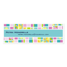 Pastel Colour Grid Skinny Business Card