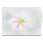 Pastel Gardenia Greeting Card
