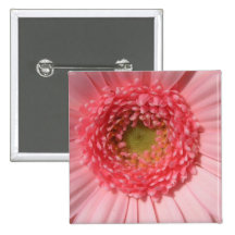 Pastel Pink Daisy  Pin
