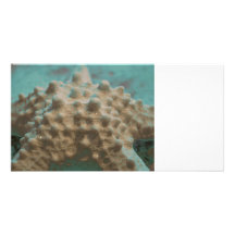 pastel starfish skeleton teal and black.jpg custom photo card