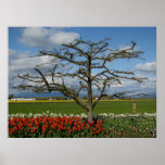 Pastoral Scene Posters