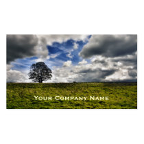 Patch of Blue Sky Custom Business Cards business cards