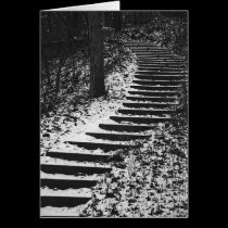 Path Less Chosen Greeting Card cards