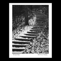 Path Less Chosen posters