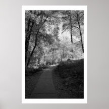 Path to Oak Creek Poster