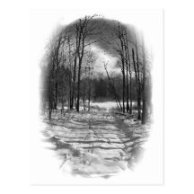 Path to the Pond Post Cards