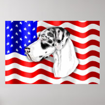 Patriot Dane Harle UC Poster