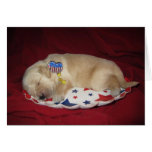 Patriotic Abby Cards