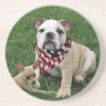 patriotic bulldog beverage coasters