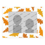 Pattern of Autumn Leaves. Postcards