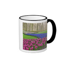 Pattern of Grape Hyacinth, tulips, and 2 Coffee Mugs