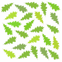 Pattern of Green Leaves. Photo Cut Outs