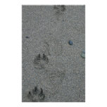 Paw Prints in the Sand Customized Stationery