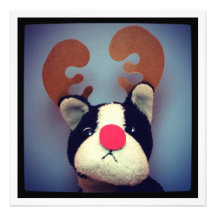 Pawliday Card
