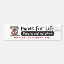 Paws for Life bumper sticker