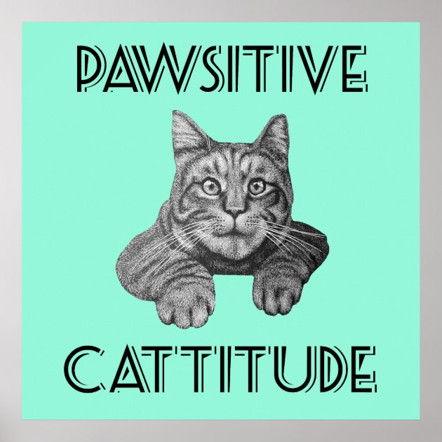 Pawsitive Cattitude Cat Poster | Zazzle