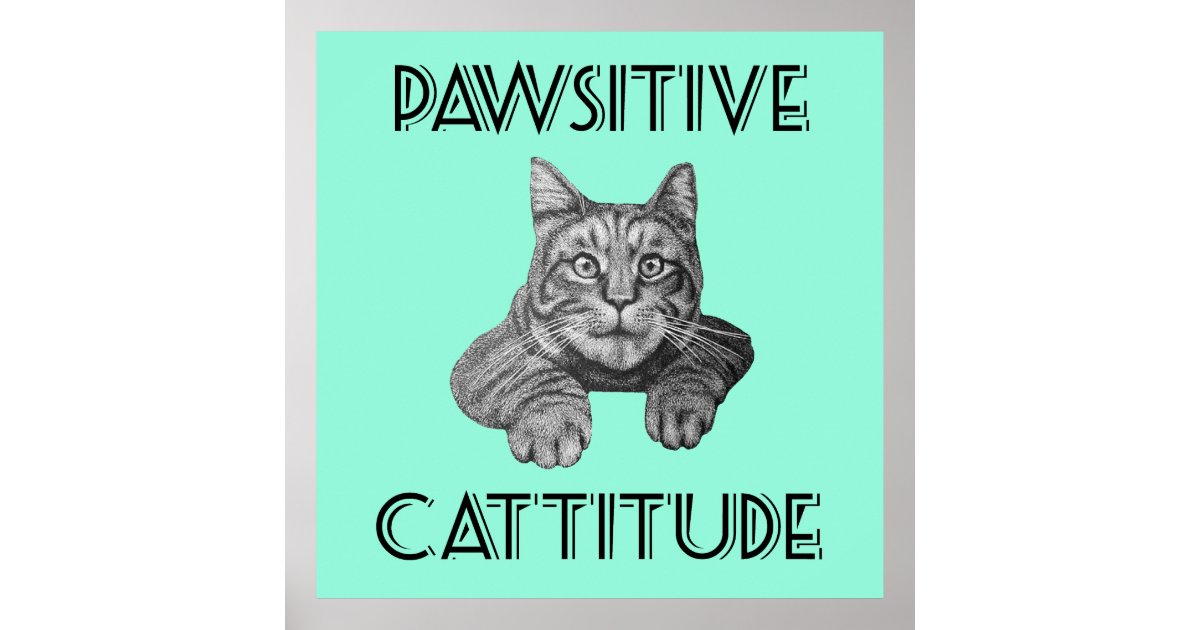 Pawsitive Cattitude Cat Poster Zazzle