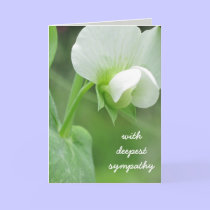 Pea Blossoms Sympathy Template Greeting Card cards