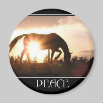 Peace at Sunset Magnet magnets