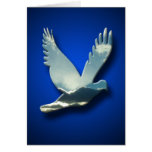 Peace Dove Sympathy Card cards
