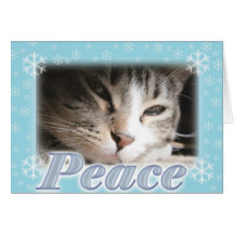 Peace Greeting Cards