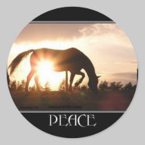 PEACE Horse Stickers stickers