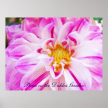 Peace in the Dahlia Garden art prints canvas frame