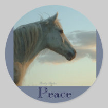 Peace in the sky Stickers stickers