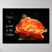 Peace is found in the Garden Fine Art Prints Roses