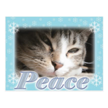 Peace Postcard