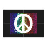 Peace Sign Canvas Print