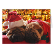 Peaceful Christmas Greeting Card