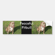 Peaceful Pitbull Bumper Stickers