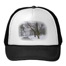 Peaceful Winter Afternoon Drive Mesh Hat