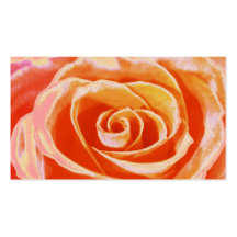 Peach rose wedding coordinator business cards