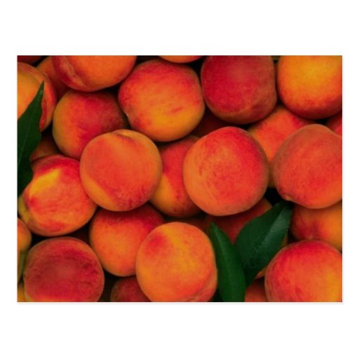Peaches Postcard
