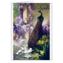 Peacock and white doves birds painting greeting cards