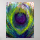 Peacock - Art Print
