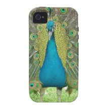 Peacock art vo1 iPhone 4 cover