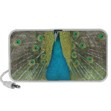 Peacock art vo1 speaker