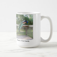 Peacock backyard visitor/ birds, bird lovers coffee mug