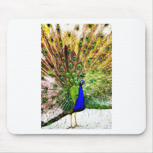 Peacock Beautiful Green Bird Animal Royal Luxury S Mouse Pad