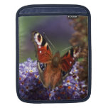 Peacock butterfly Sleeve iPad Sleeves