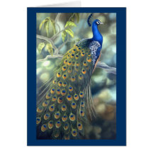 Peacock Card