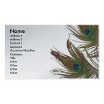 Peacock Design Business Card